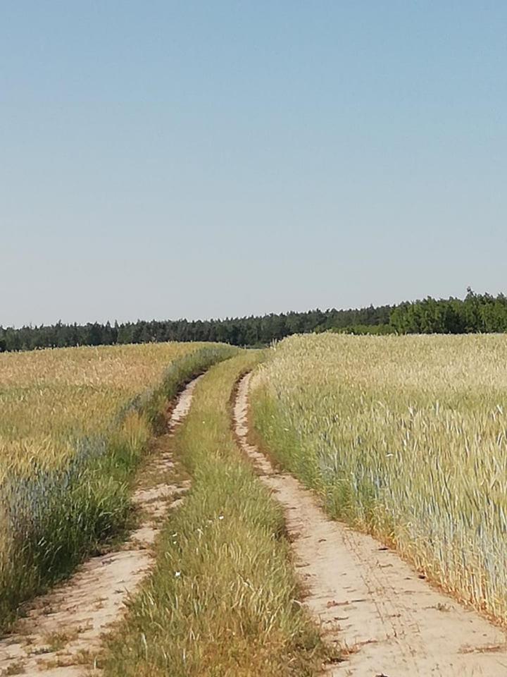 Przystanek Las Gąsawa Exteriér fotografie